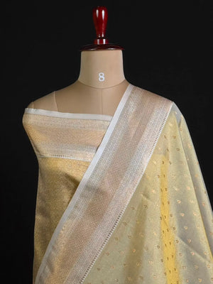 Semi Kanchi Tissue Silk Saree with Elegant Woven Border