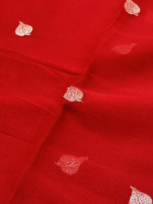 Banarasi Pure Khaddi Chiffon Saree-Self