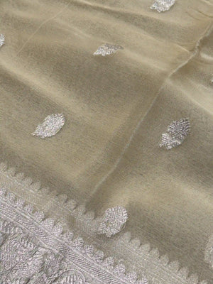 Banarasi Pure Khaddi Chiffon Saree-Self