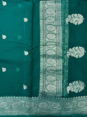 Banarasi Pure Khaddi Chiffon Saree-Self
