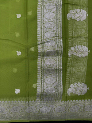 Banarasi Pure Khaddi Chiffon Saree-Self