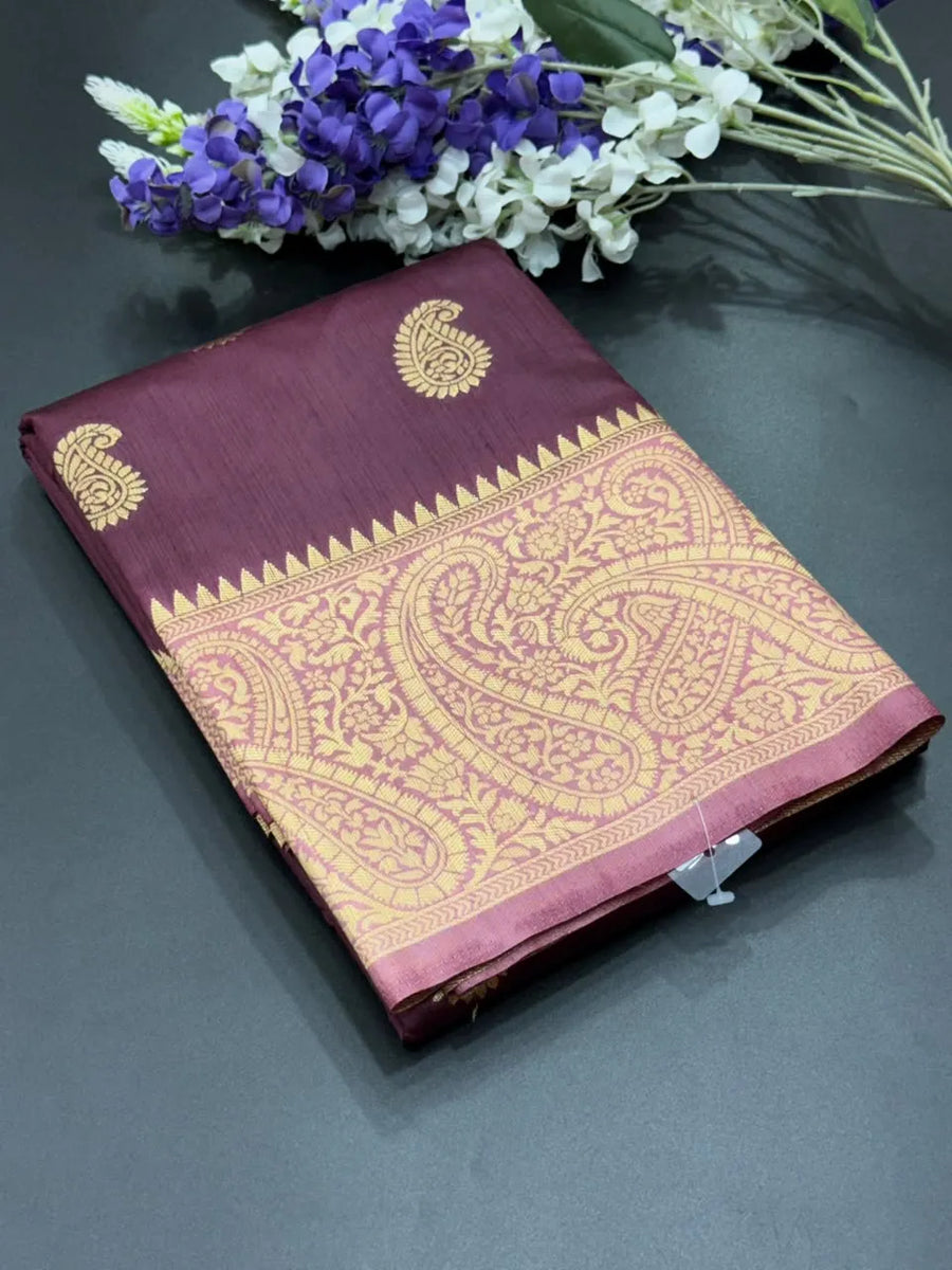 Raw Mango Silk Zari Border Saree