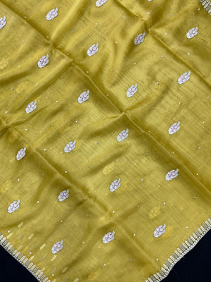 Woman wearing a sheer Organza Saree with elegant detailing and soft flow, perfect for festive events and stylish ethnic occasions.