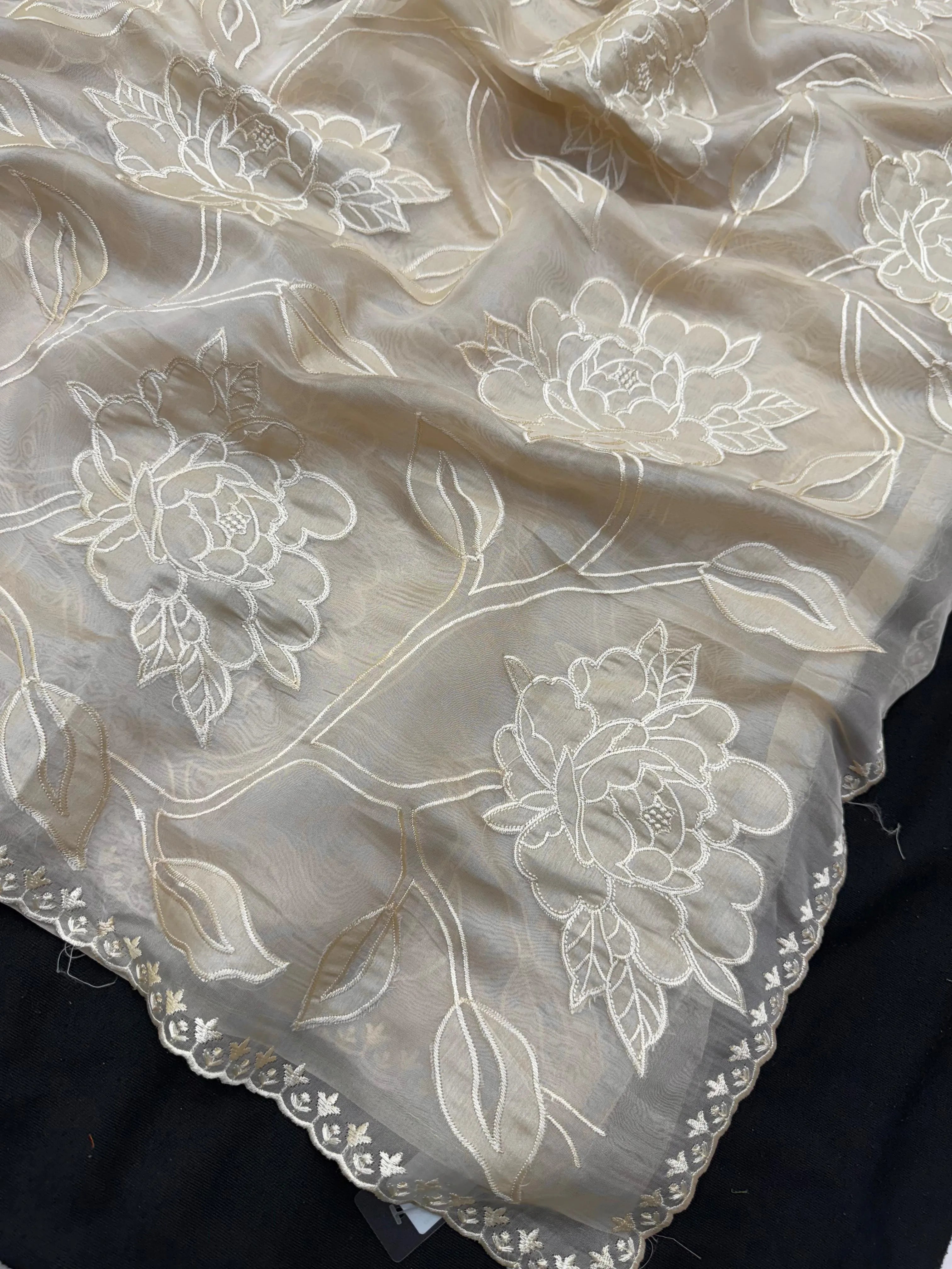 Organza saree with sheer, lightweight fabric and elegant motifs – perfect for festive and special occasions