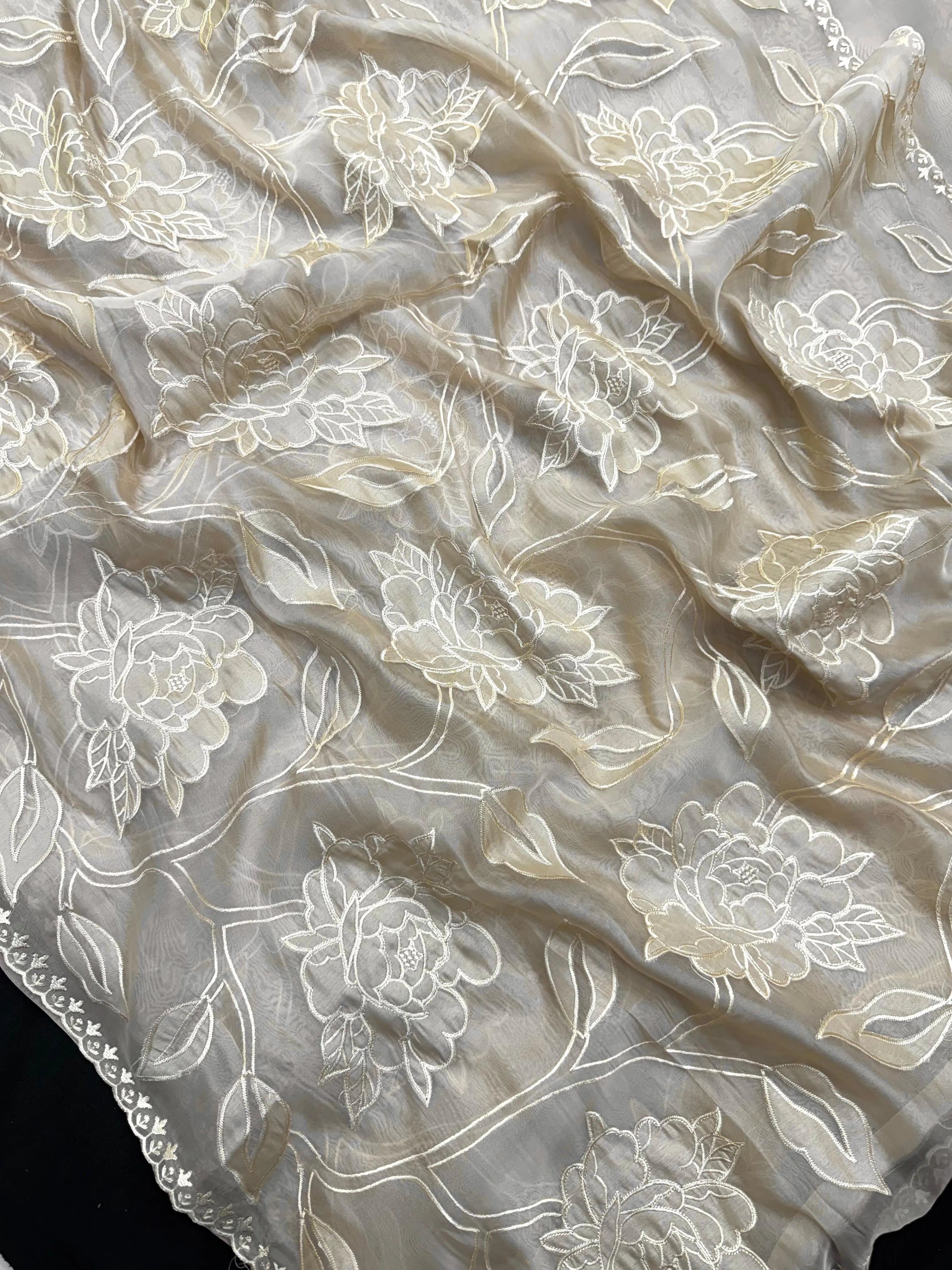 Organza saree with sheer, lightweight fabric and elegant motifs – perfect for festive and special occasions