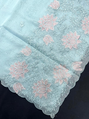 Woman wearing a sheer, lightweight Organza Saree with subtle shimmer – ideal for festive and elegant occasions.