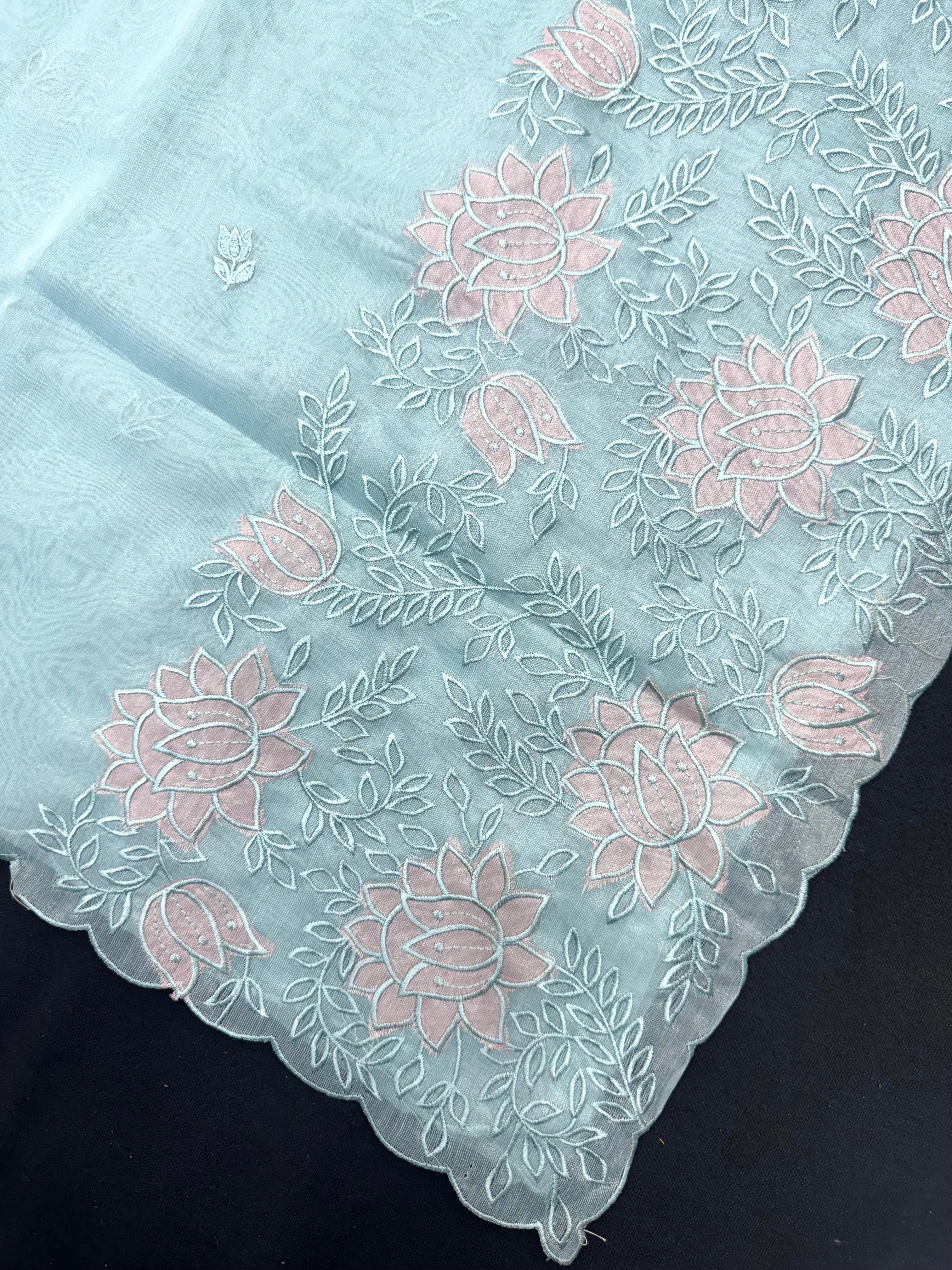 Woman wearing a sheer, lightweight Organza Saree with subtle shimmer – ideal for festive and elegant occasions.