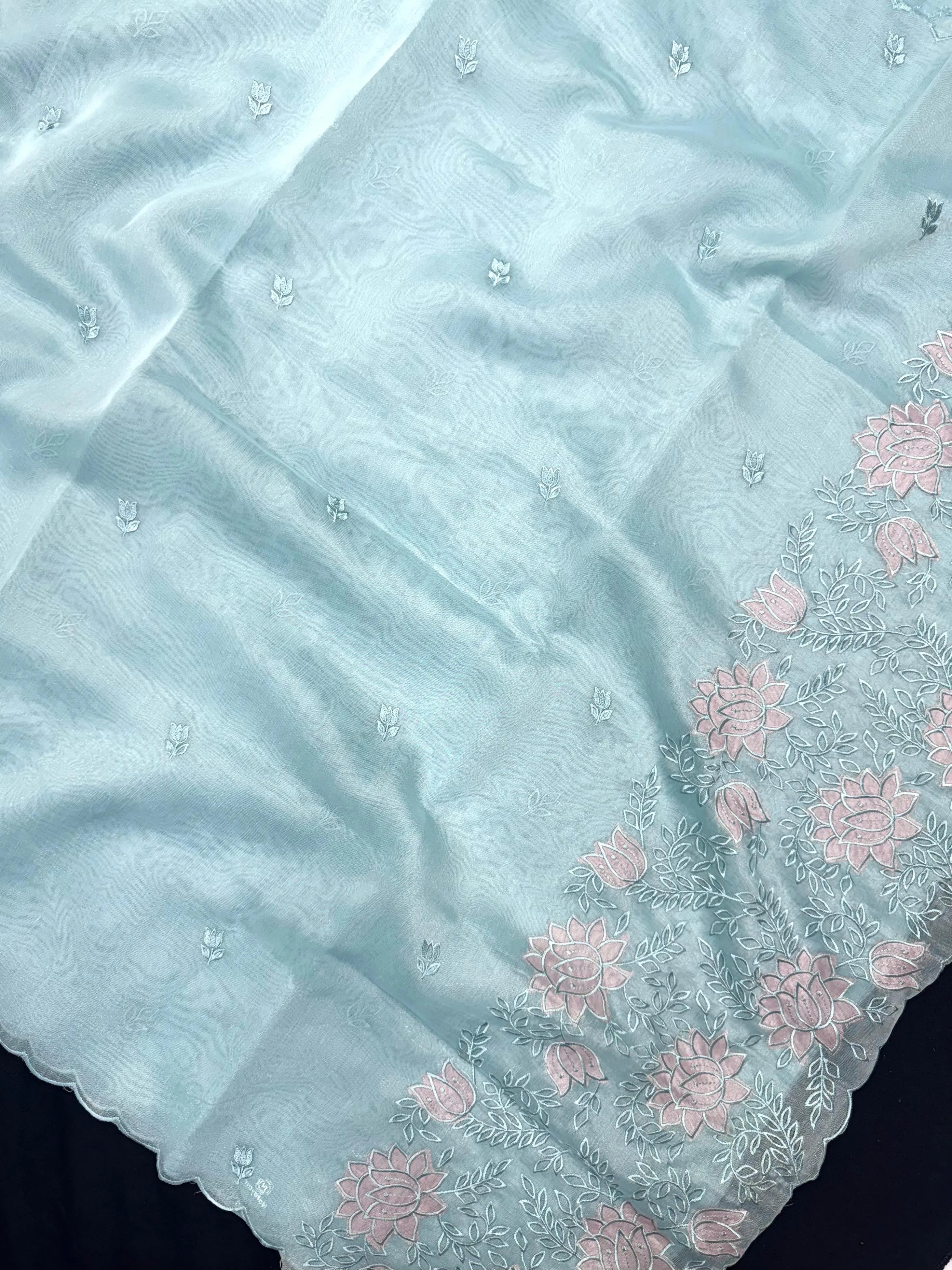 Woman wearing a sheer, lightweight Organza Saree with subtle shimmer – ideal for festive and elegant occasions.