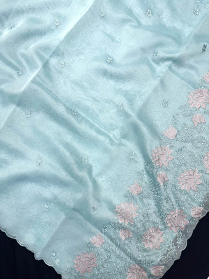 Woman wearing a sheer, lightweight Organza Saree with subtle shimmer – ideal for festive and elegant occasions.