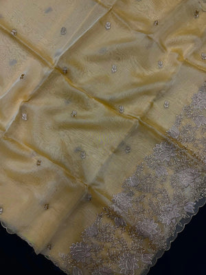 Woman wearing a sheer, lightweight Organza Saree with subtle shimmer – ideal for festive and elegant occasions.