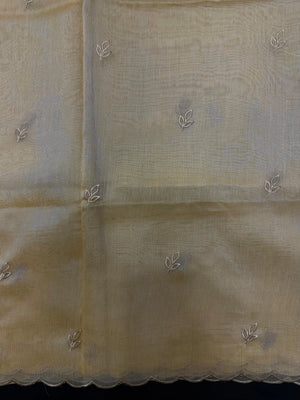 Woman wearing a sheer, lightweight Organza Saree with subtle shimmer – ideal for festive and elegant occasions.