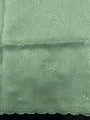 Woman wearing a sheer, lightweight Organza Saree with subtle shimmer – ideal for festive and elegant occasions.