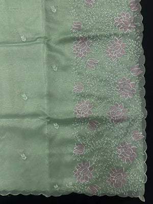 Woman wearing a sheer, lightweight Organza Saree with subtle shimmer – ideal for festive and elegant occasions.