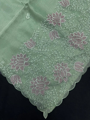 Woman wearing a sheer, lightweight Organza Saree with subtle shimmer – ideal for festive and elegant occasions.