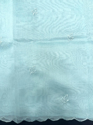 Woman wearing a sheer, lightweight Organza Saree with subtle shimmer – ideal for festive and elegant occasions.