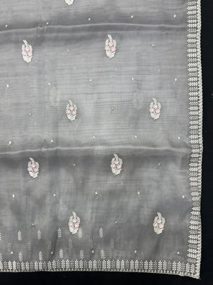 Woman wearing a sheer Organza Saree with elegant detailing and soft flow, perfect for festive events and stylish ethnic occasions.