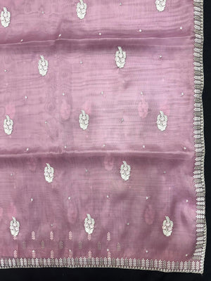 Woman wearing a sheer Organza Saree with elegant detailing and soft flow, perfect for festive events and stylish ethnic occasions.