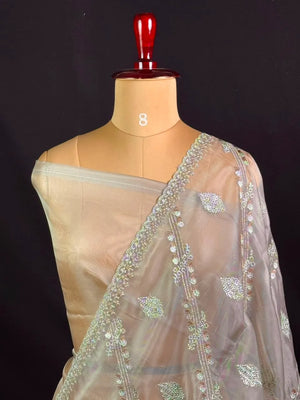 Soft Supernet Pure Organza Saree With Embroidery Work