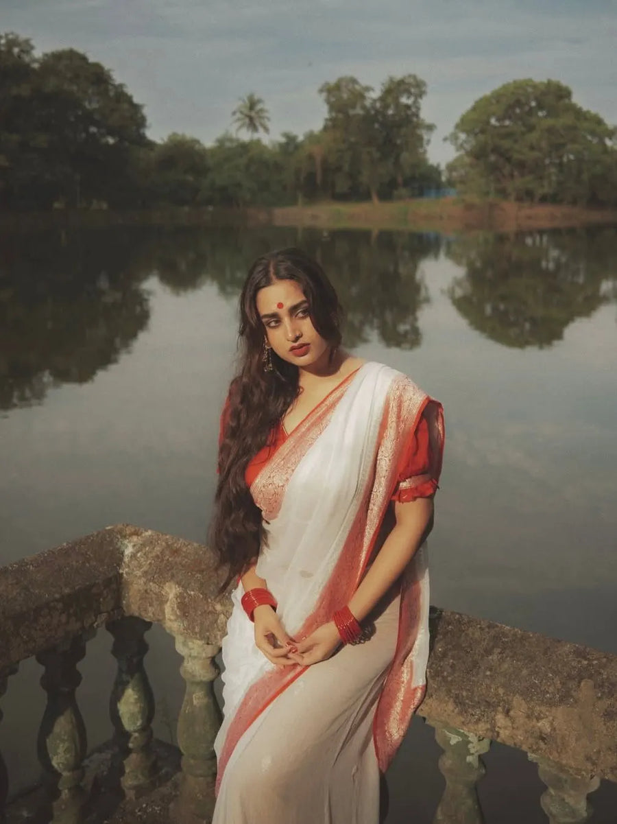 Banarasi Pure Khaddi Chiffon Saree