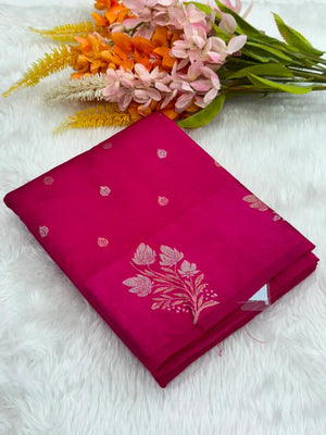 Regal Elegance Raw Silk Saree