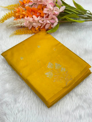 Regal Elegance Raw Silk Saree
