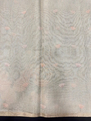 Graceful Semi Tissue Organza Saree for Party & Occasion Wear