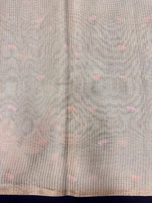 Graceful Semi Tissue Organza Saree for Party & Occasion Wear