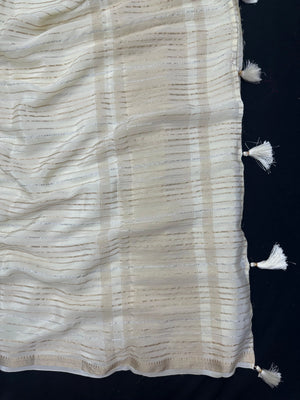 Woman draped in a Chiffon Silk Saree with soft, flowy texture and subtle sheen, perfect for parties and elegant ethnic occasions.