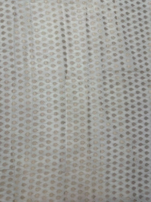 Woman draped in a Chiffon Silk Saree with soft, flowy texture and subtle sheen, perfect for parties and elegant ethnic occasions.