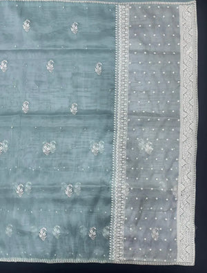 Elegant Organza Saree with Intricate Border – Lightweight & Stylish (Silver Tissue)