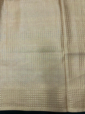 Tradition & Luxury in Tussar Silk-Snow Net