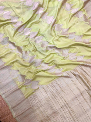 Chiffon saree