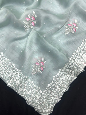 Luxury EMB Organza Saree with Intricate Thread Work (EMB Organza)