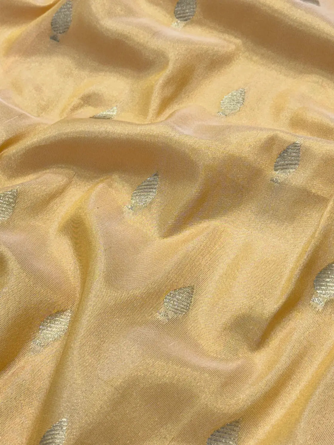 Fancy Banarasi Tissue Saree