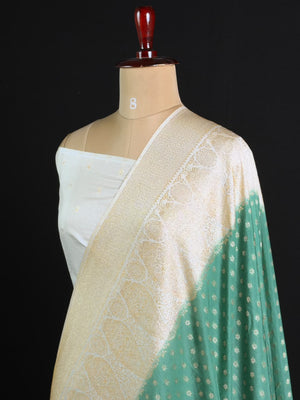 Royal Charm Chiffon Georgette Saree (Mango Border)