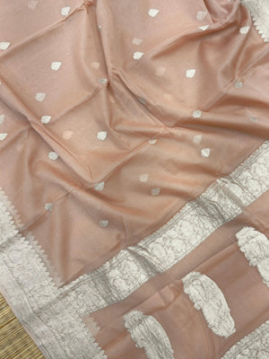 Chiffon saree