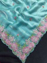 Shimmer Organza Saree, a perfect blend of grace and glamour