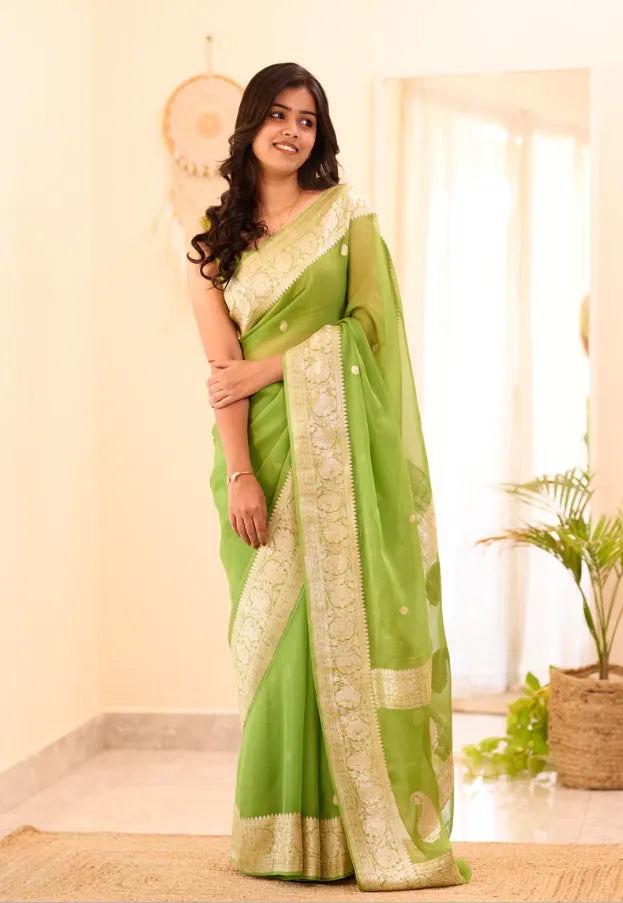 Banarasi Pure Khaddi Chiffon Saree