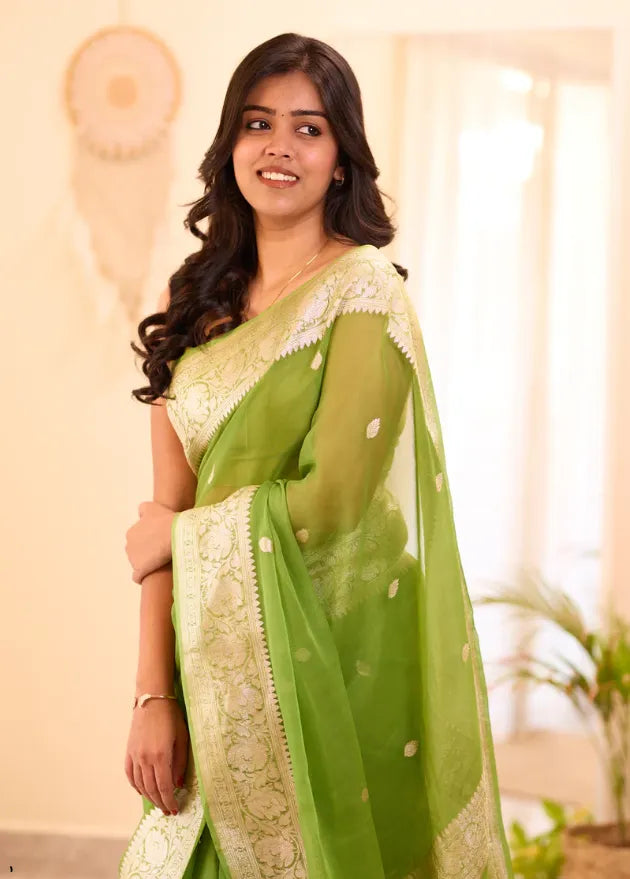 Banarasi Pure Khaddi Chiffon Saree