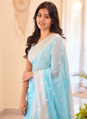 Banarasi Pure Khaddi Chiffon Saree