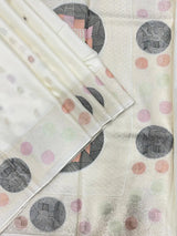 Silk Aura Elegance-Kanchi Temple