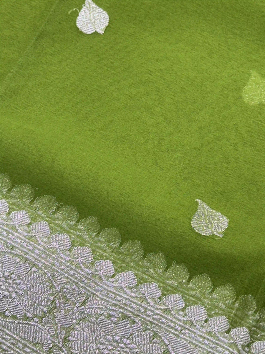 Parrot_Green