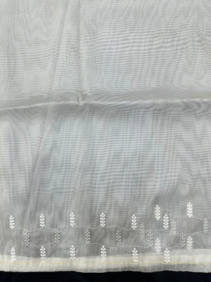 Woman wearing a sheer Organza Saree with elegant detailing and soft flow, perfect for festive events and stylish ethnic occasions.