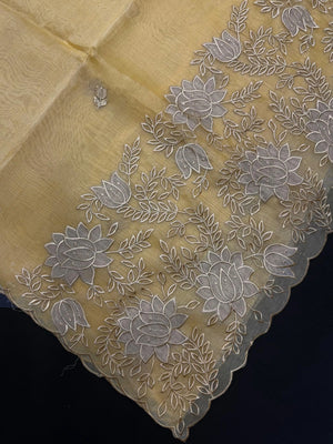 Woman wearing a sheer, lightweight Organza Saree with subtle shimmer – ideal for festive and elegant occasions.