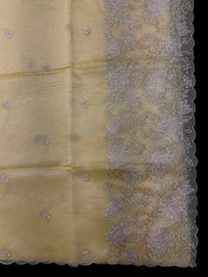 Woman wearing a sheer, lightweight Organza Saree with subtle shimmer – ideal for festive and elegant occasions.