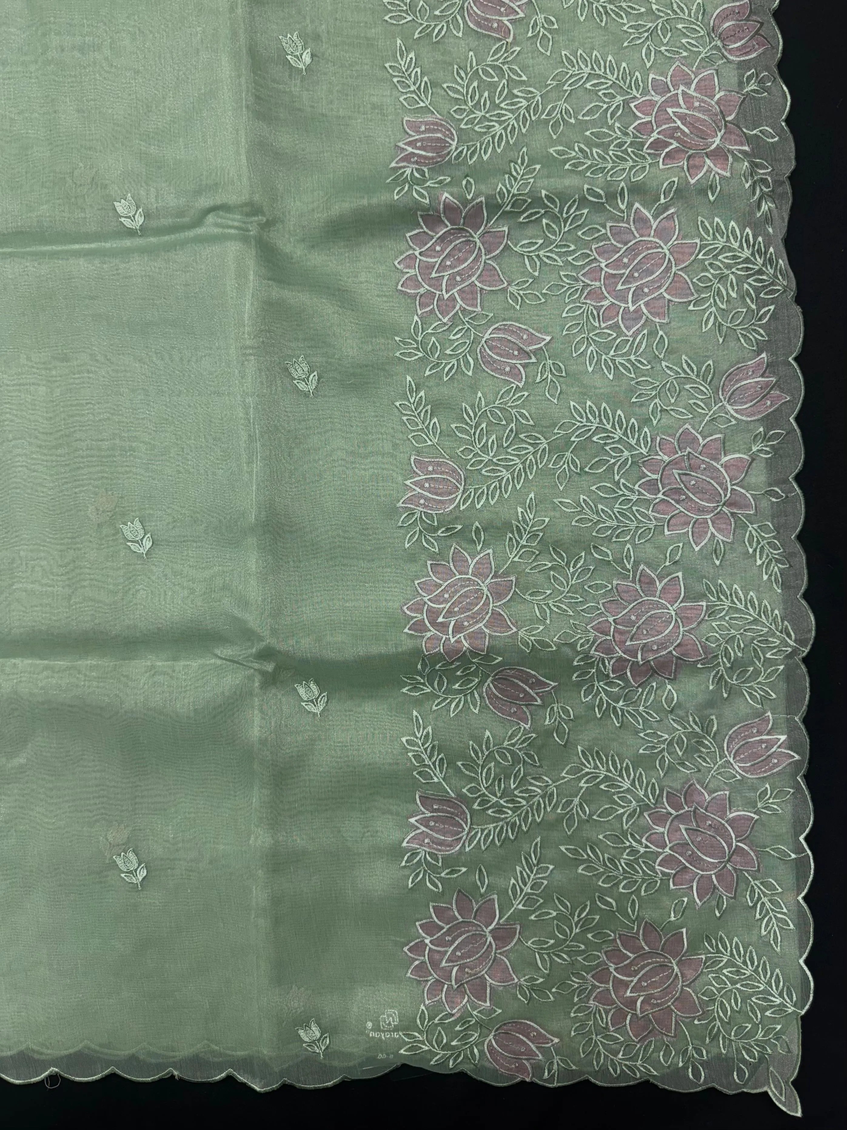 Woman wearing a sheer, lightweight Organza Saree with subtle shimmer – ideal for festive and elegant occasions.
