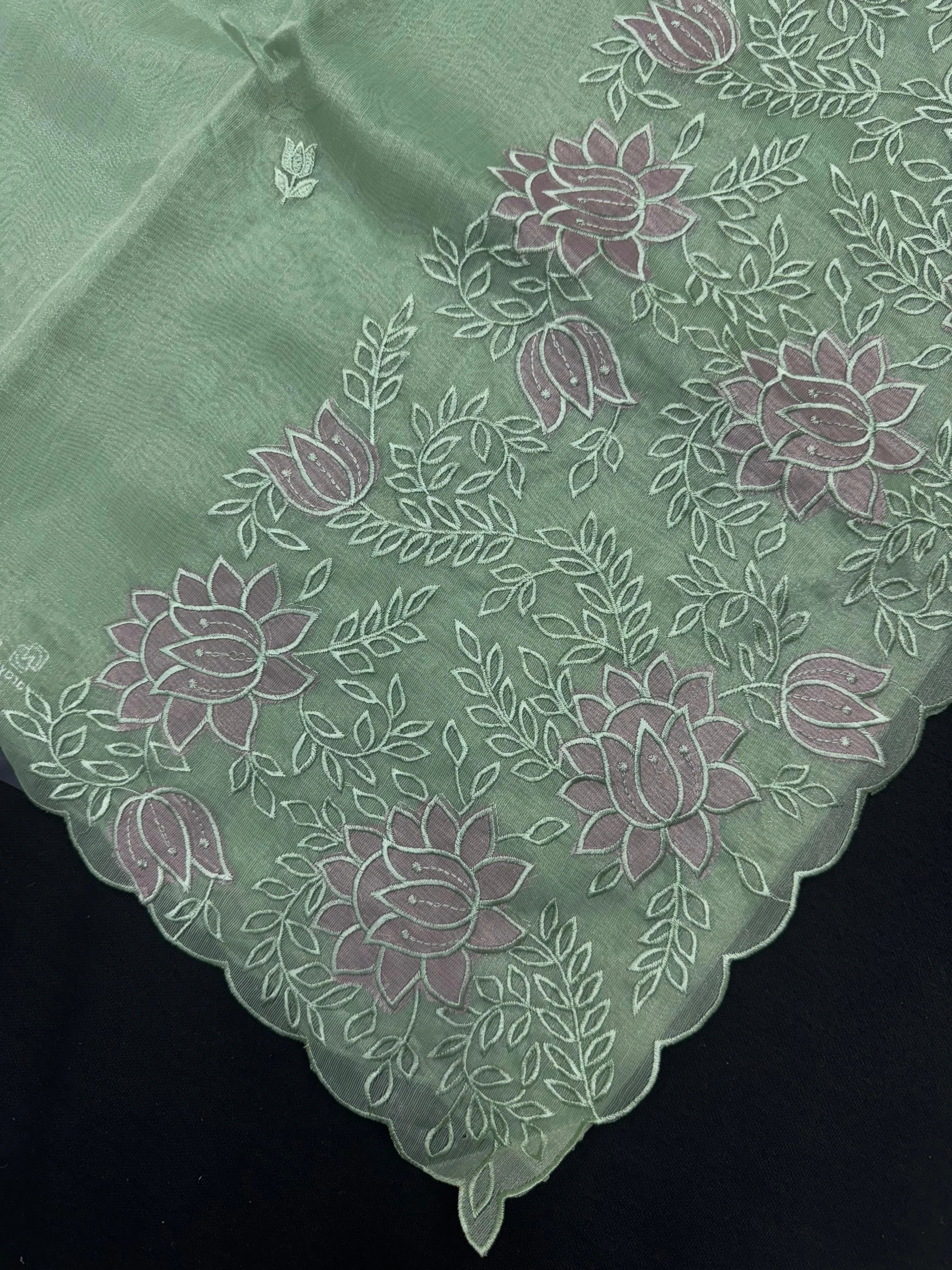 Woman wearing a sheer, lightweight Organza Saree with subtle shimmer – ideal for festive and elegant occasions.