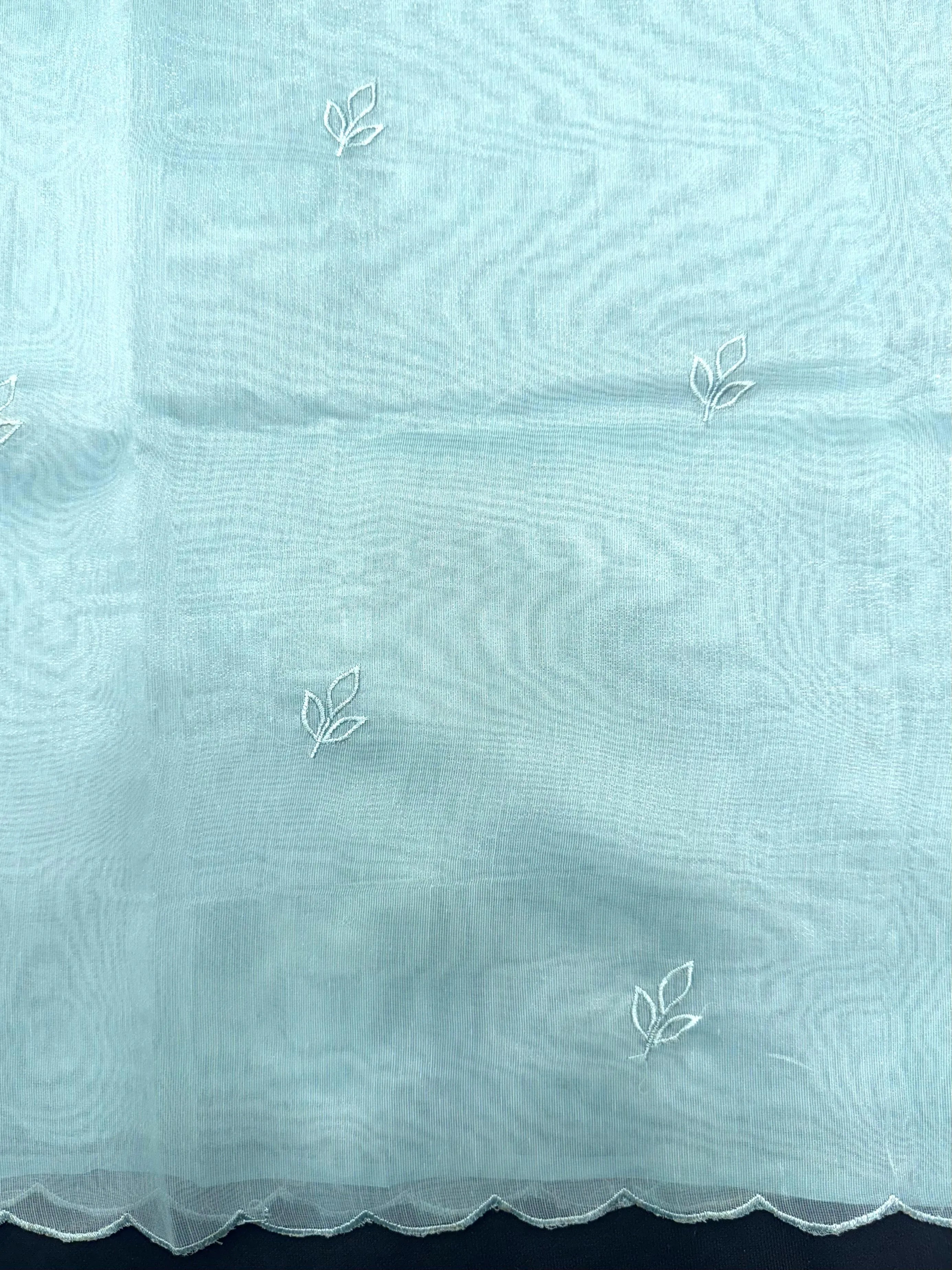 Woman wearing a sheer, lightweight Organza Saree with subtle shimmer – ideal for festive and elegant occasions.