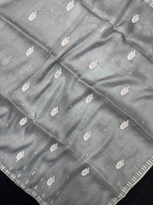 Woman wearing a sheer Organza Saree with elegant detailing and soft flow, perfect for festive events and stylish ethnic occasions.