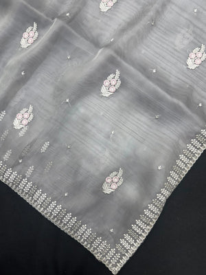 Woman wearing a sheer Organza Saree with elegant detailing and soft flow, perfect for festive events and stylish ethnic occasions.
